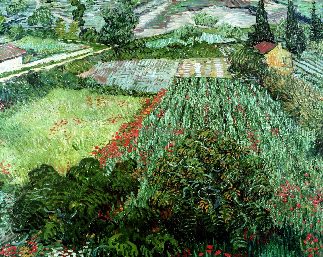 Gelincikli Tarla, 1889 by Vincent van Gogh