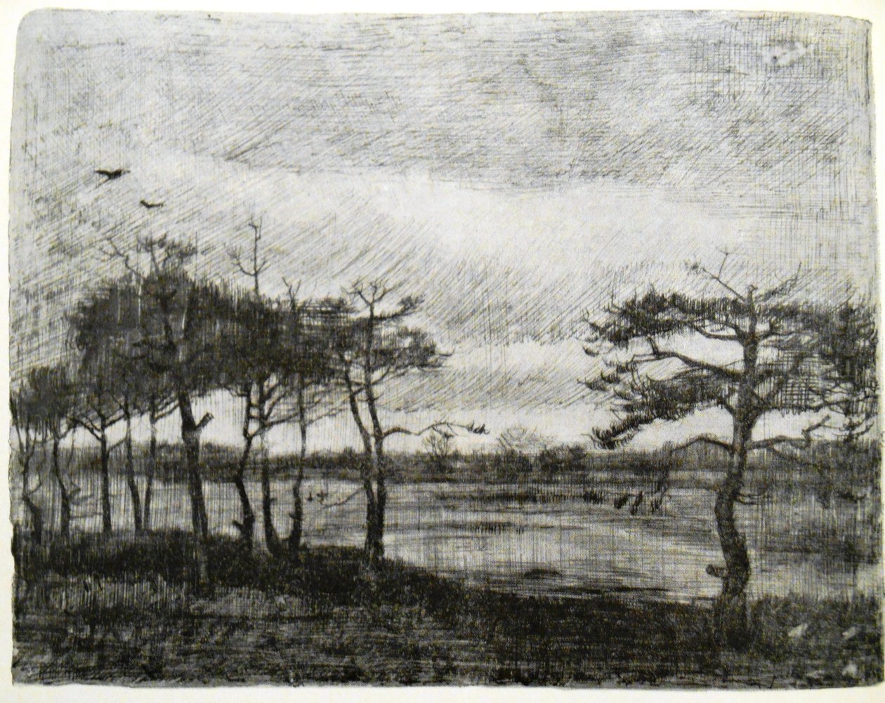 Bir bataklık tarafından köknar by Vincent van Gogh