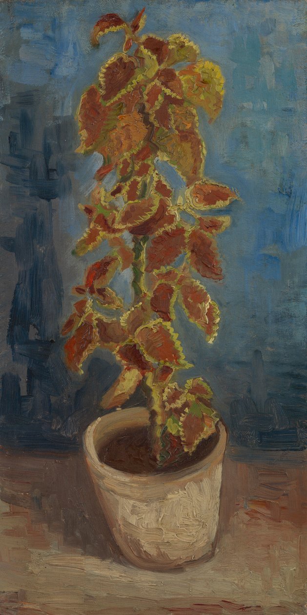 Bir Saksıda Alev Isırgan by Vincent van Gogh
