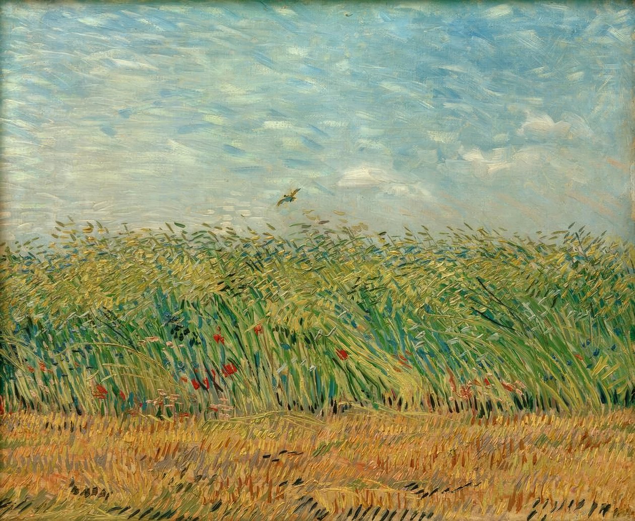 Haşhaş ve keklik ile tahıl tarlası by Vincent van Gogh