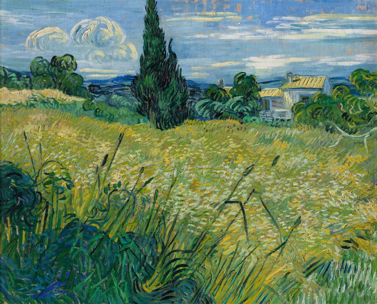 Yeşil Buğday, 1889 by Vincent van Gogh