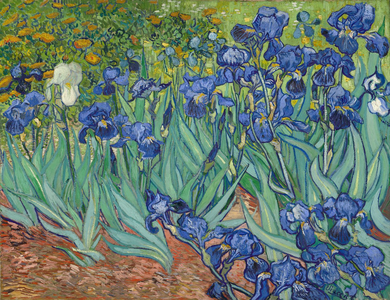 süsen by Vincent van Gogh