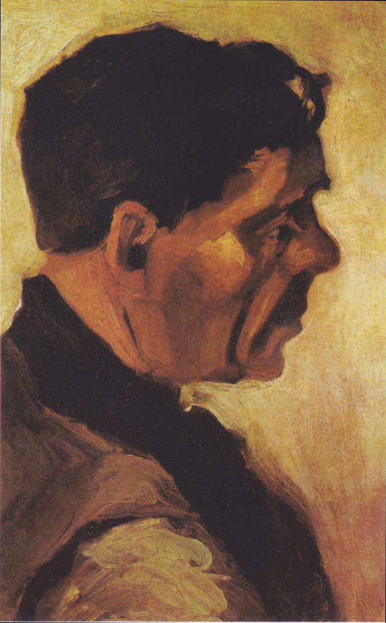 Bir çiftçinin başı by Vincent van Gogh