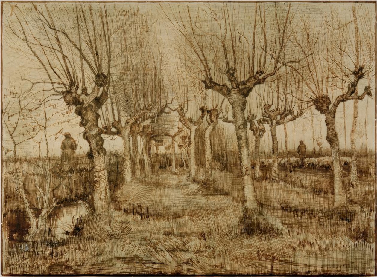 Pollarded söğütler by Vincent van Gogh