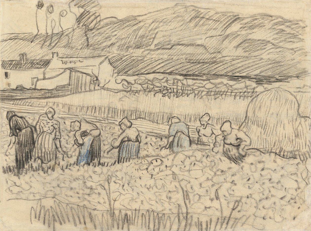 Köylü Kadınları Hasat Eden Manzara by Vincent van Gogh