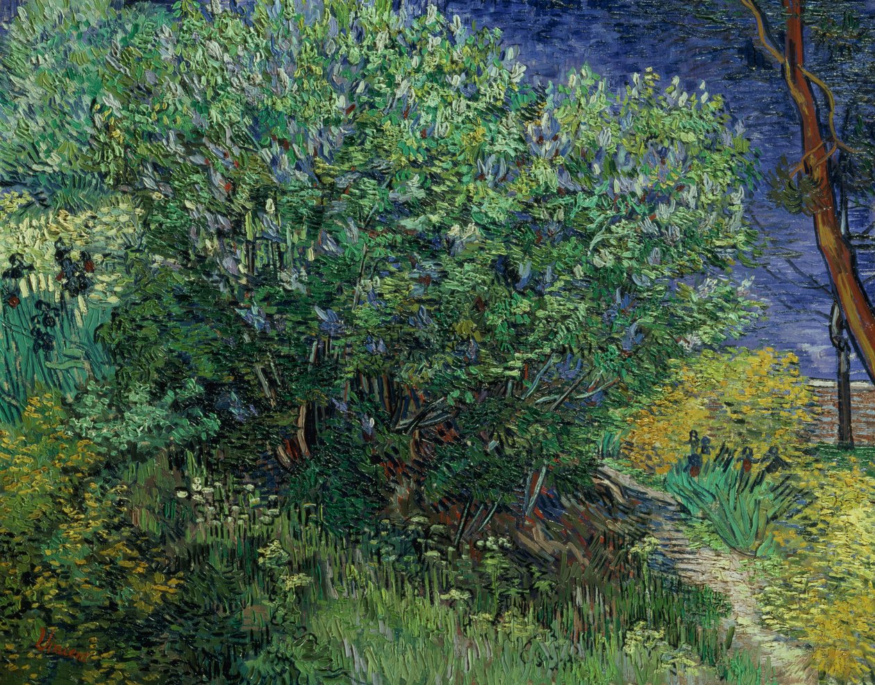 Leylak Çalı, 1889 by Vincent van Gogh