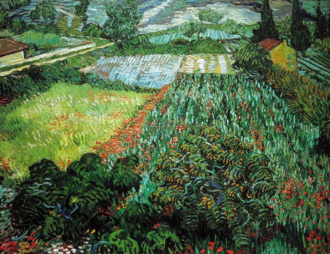 Mohnfeld by Vincent van Gogh