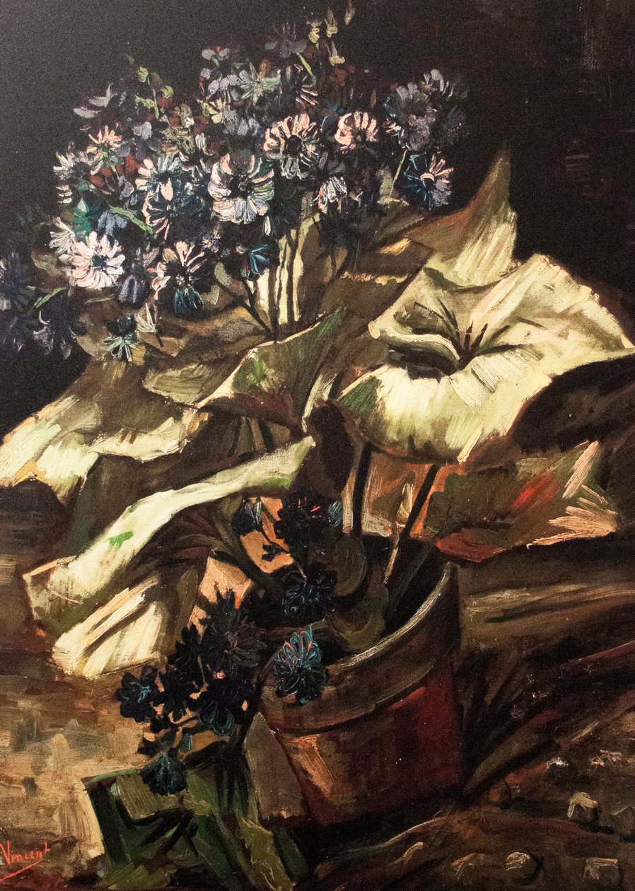 Hayalim by Vincent van Gogh