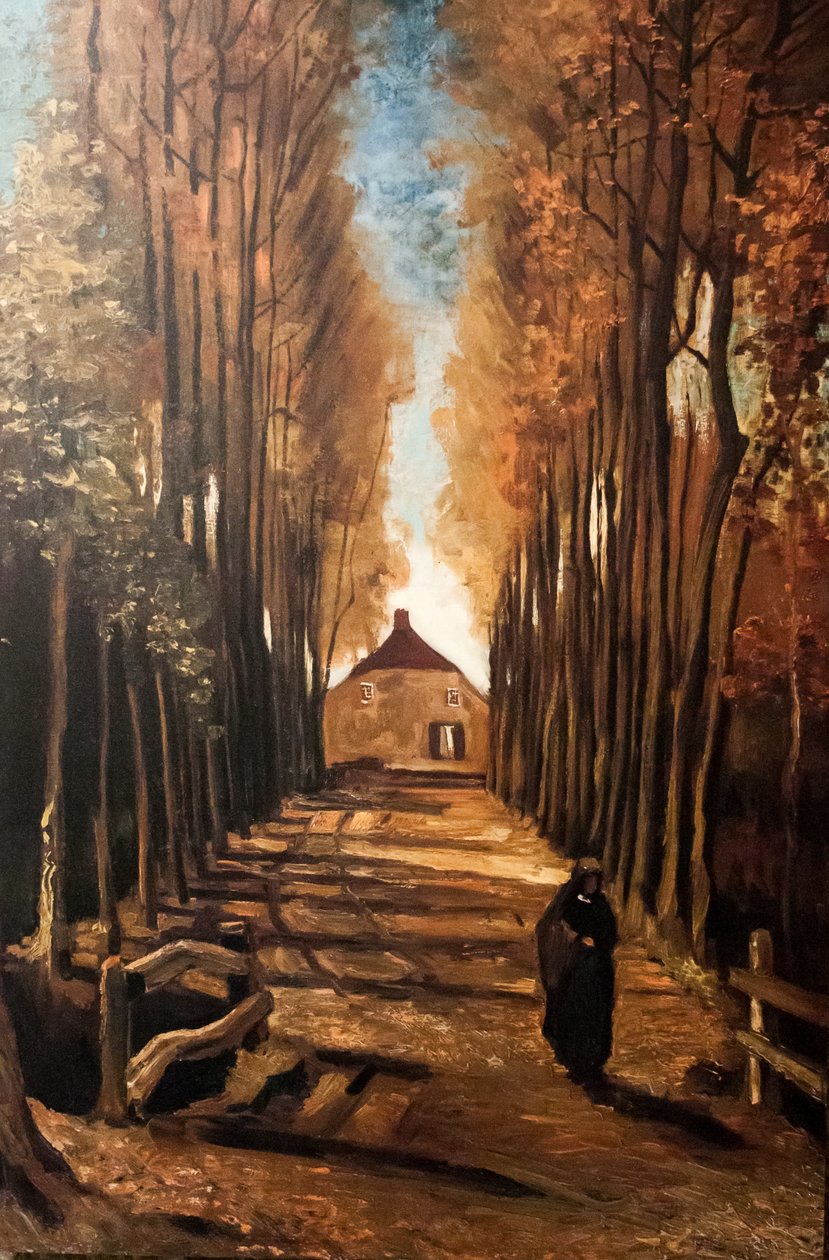 Hayalim by Vincent van Gogh