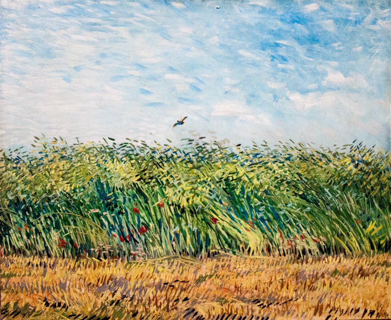 Hayalim by Vincent van Gogh