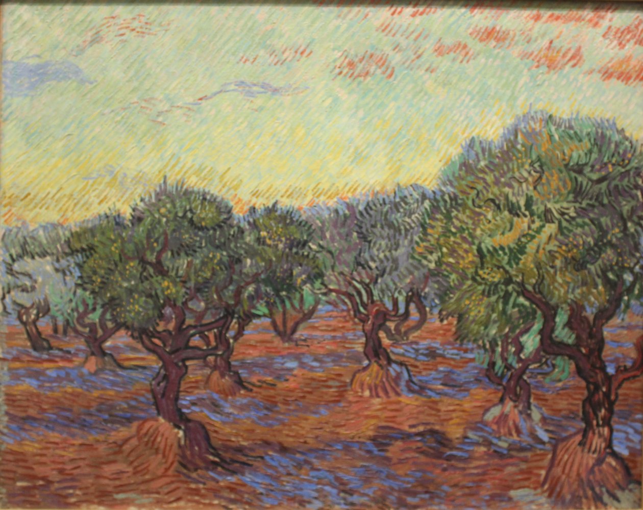 Zeytinlik by Vincent van Gogh