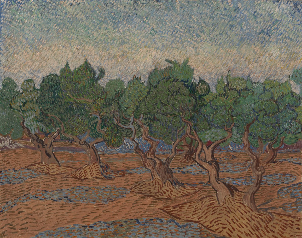 Zeytinlik by Vincent van Gogh