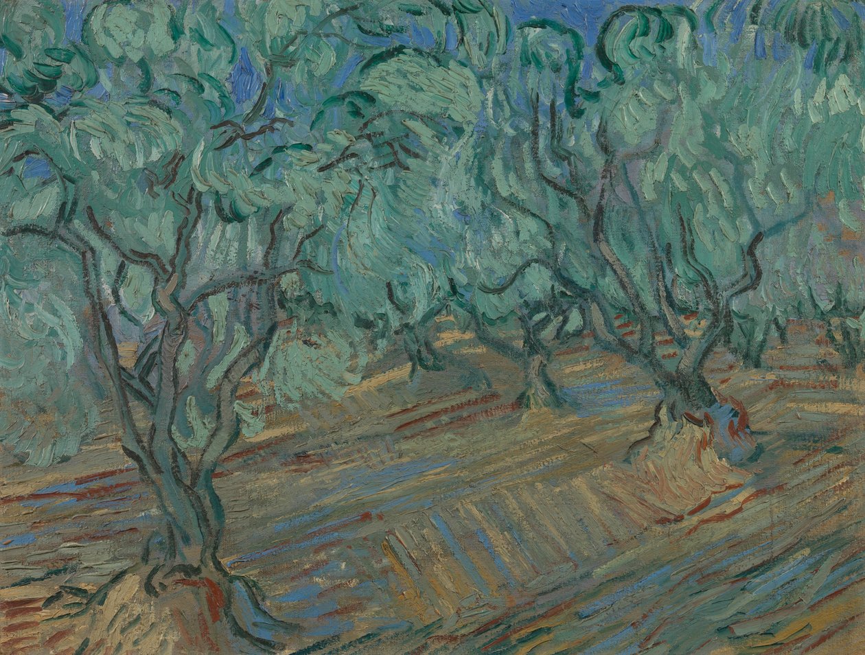 Zeytinlik by Vincent van Gogh
