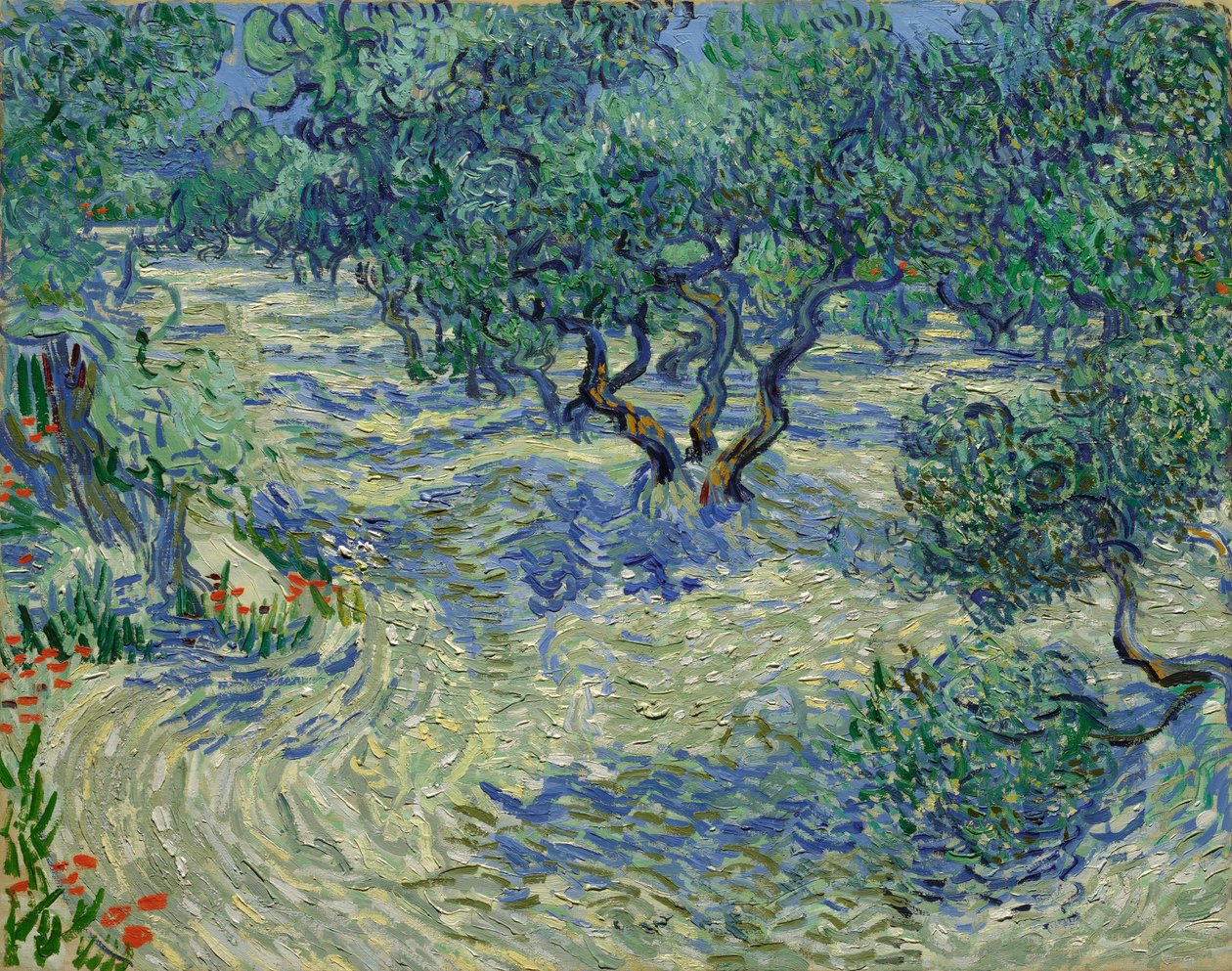 zeytin bahçesi by Vincent van Gogh