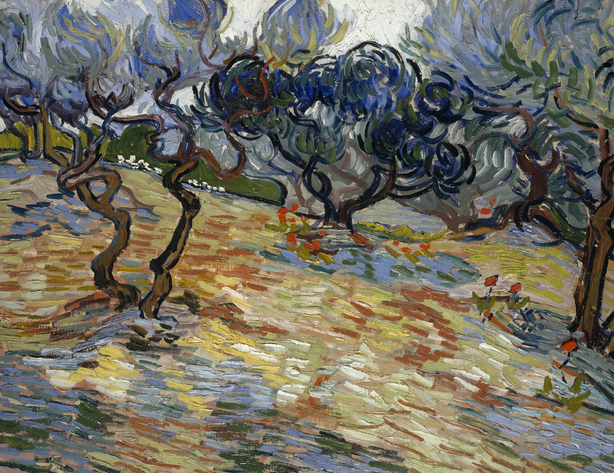 Zeytin ağaçları by Vincent van Gogh