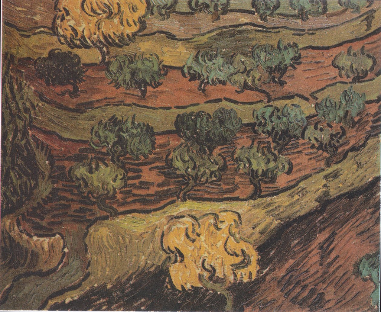 Bir tepede zeytin ağaçları by Vincent van Gogh
