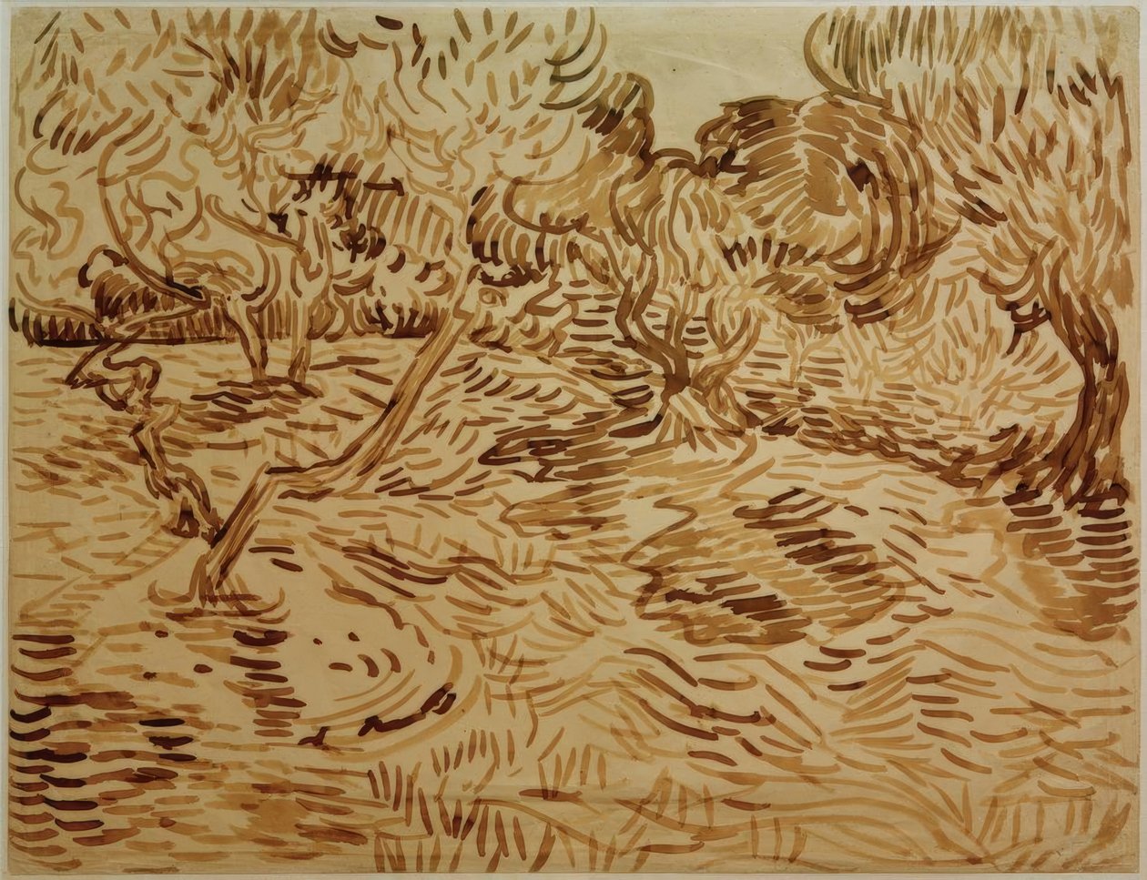 Zeytinlik by Vincent van Gogh
