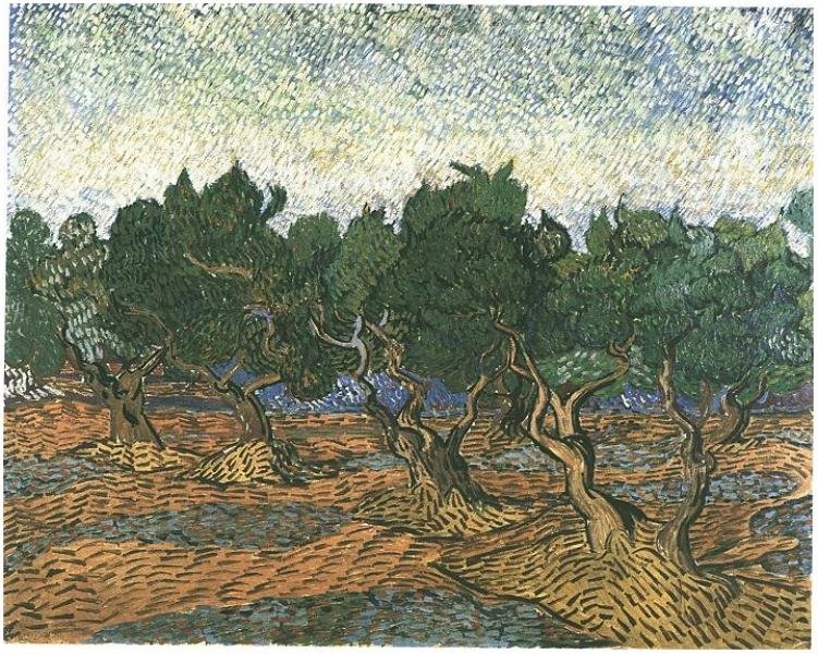 Zeytinlik 3 by Vincent van Gogh