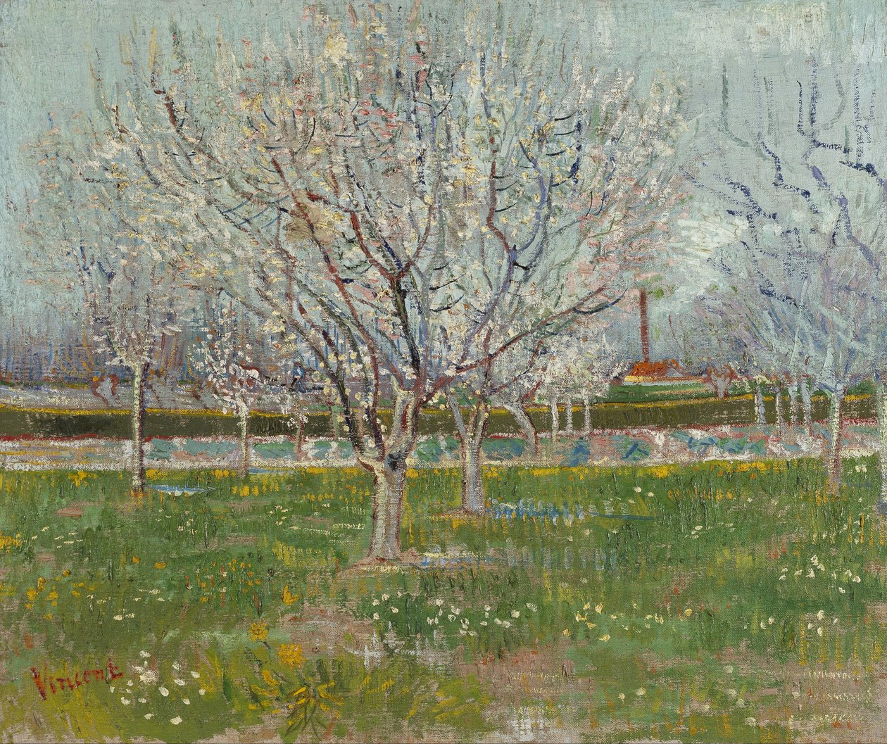 Çiçek Bahçesi (Erik Ağaçları) by Vincent van Gogh