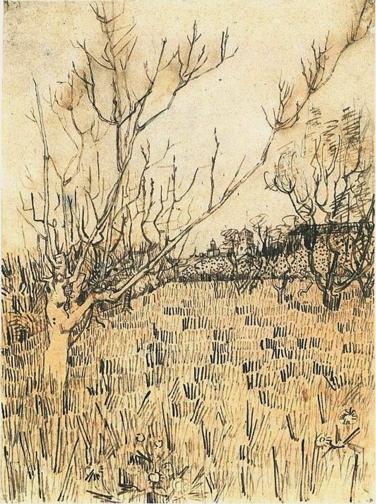 Arka planda Arles ile meyve bahçesi by Vincent van Gogh