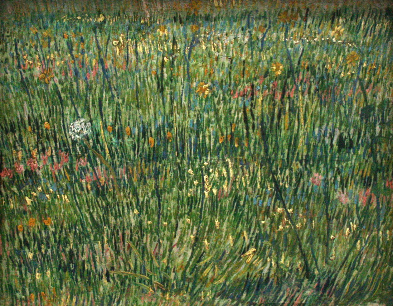 çim yama by Vincent van Gogh