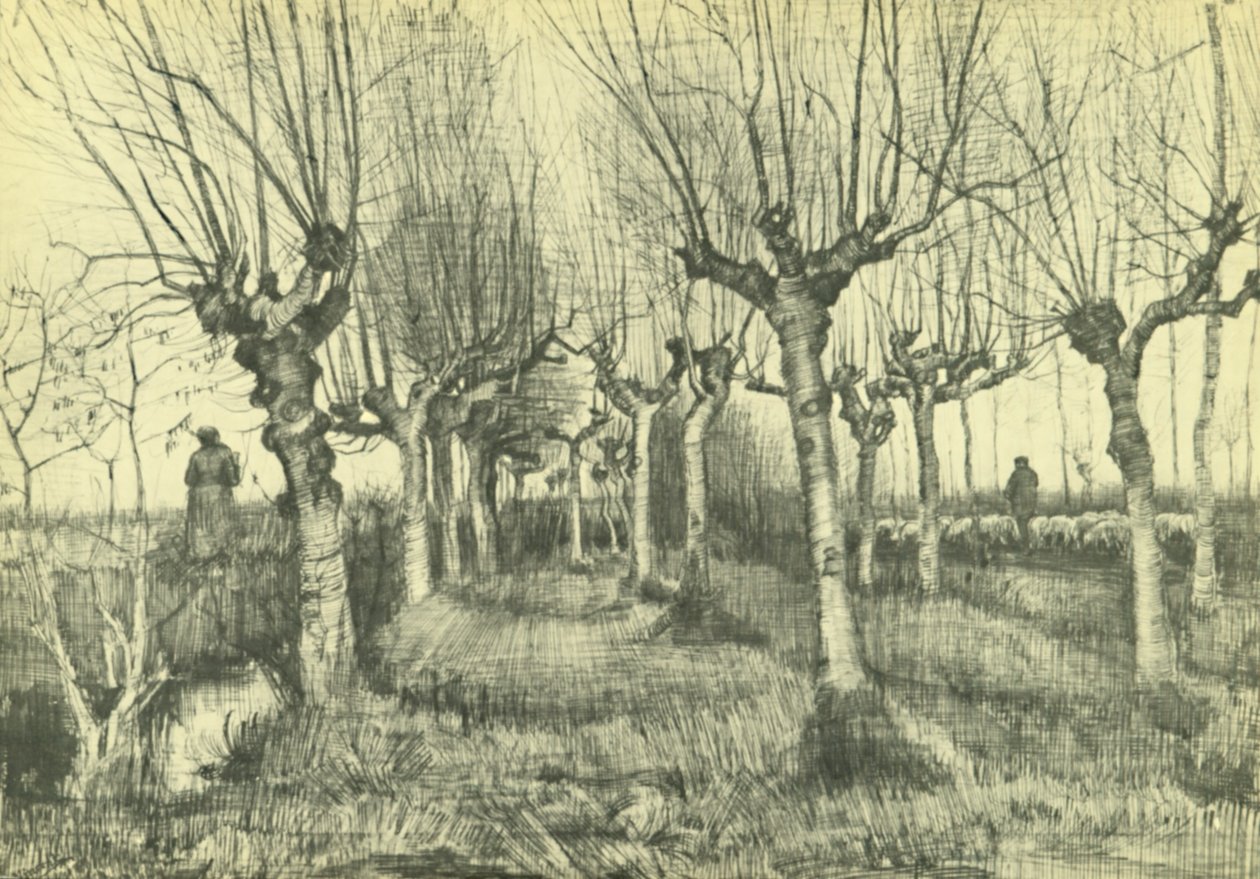 Pollard huş ağacı by Vincent van Gogh