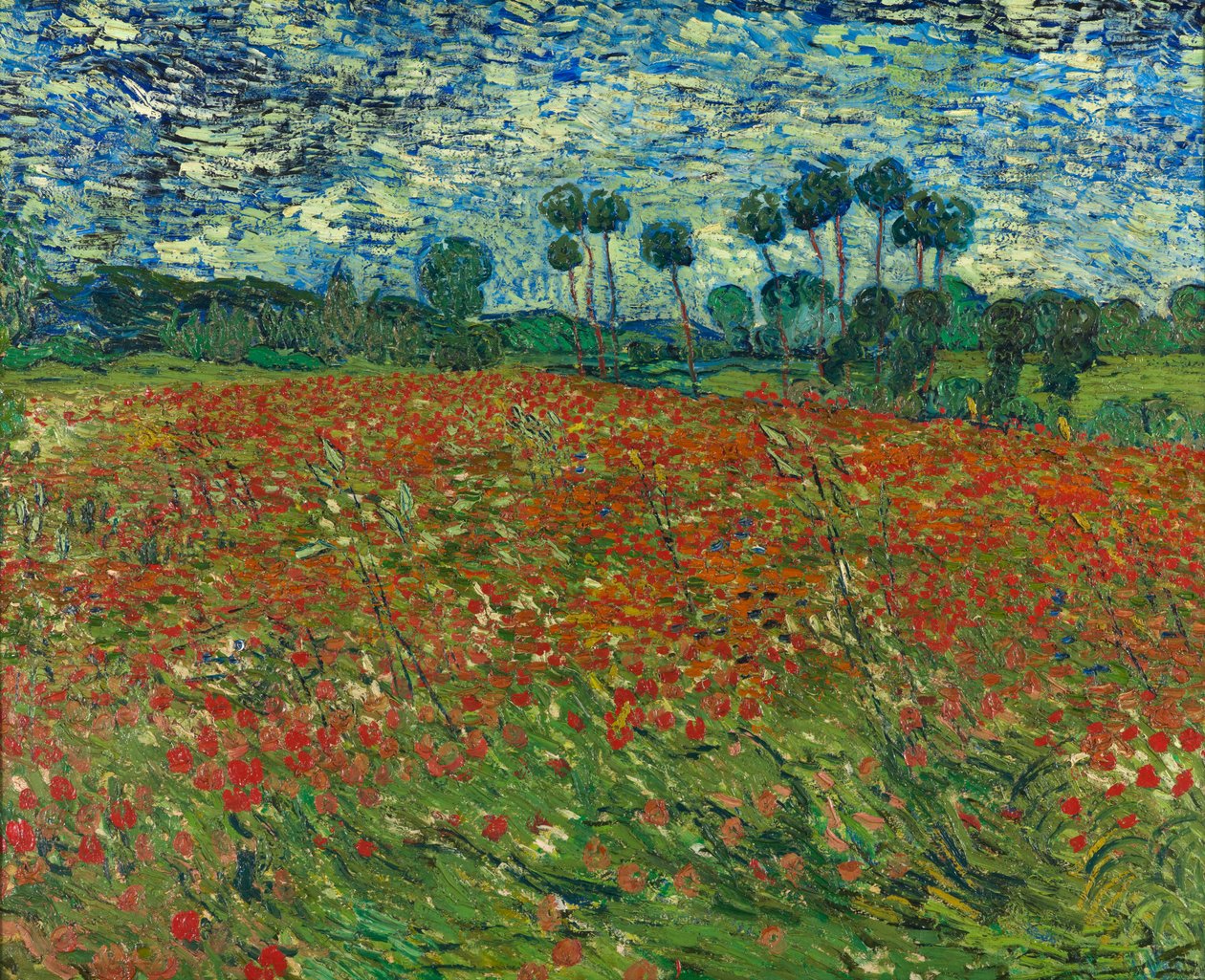 haşhaş tarlası by Vincent van Gogh