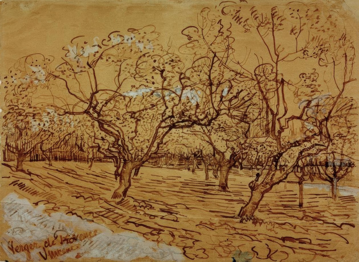 Provençal meyve bahçesi by Vincent van Gogh