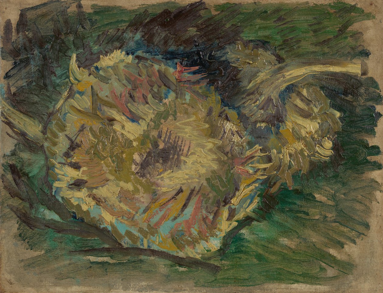 Ayçiçeği tohuma gitti by Vincent van Gogh