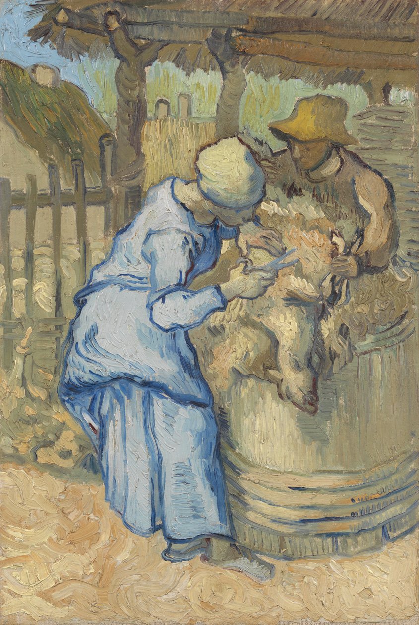 Sheepshearer (Mısır