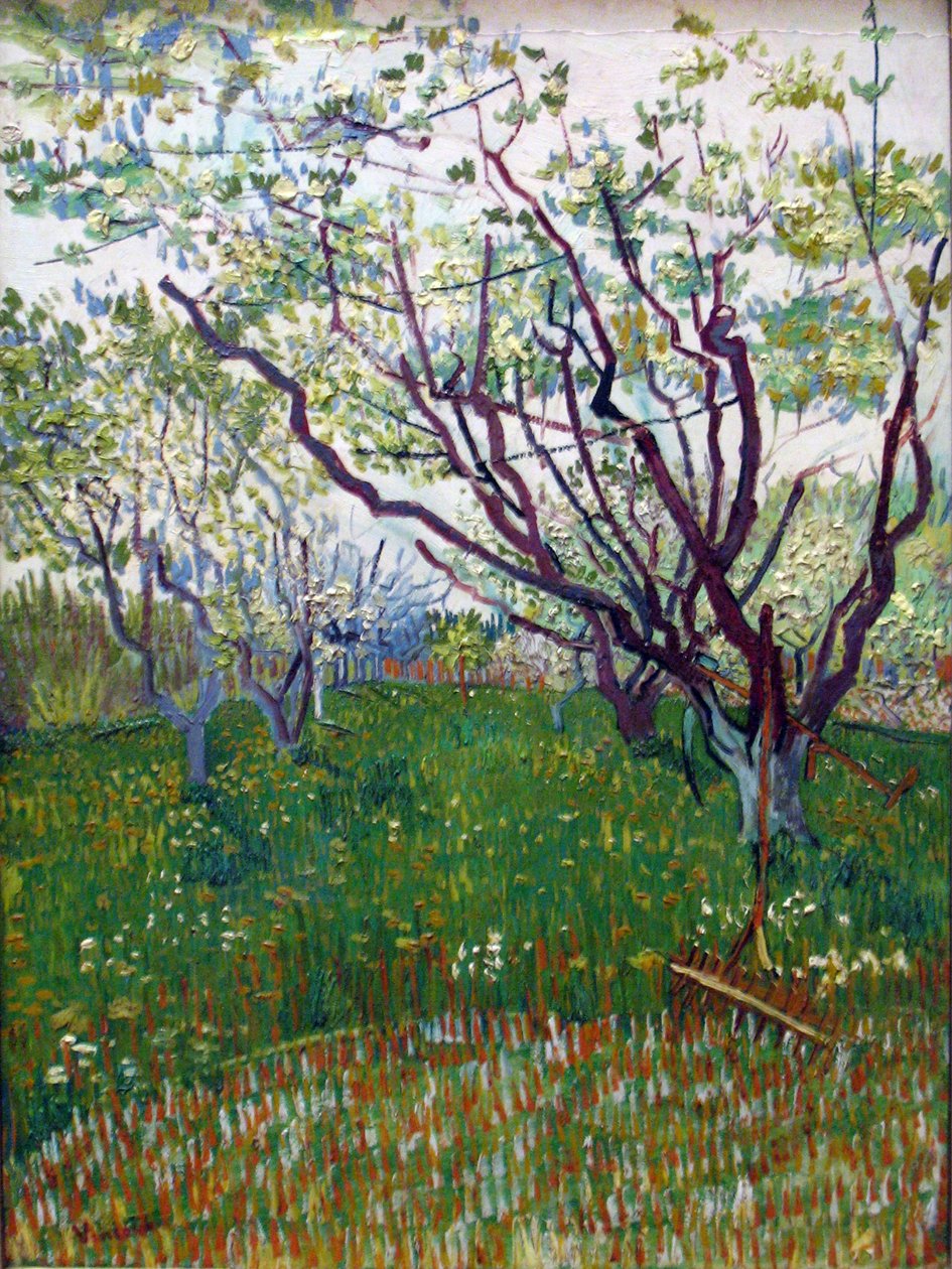 çiçekli meyve bahçesi by Vincent van Gogh