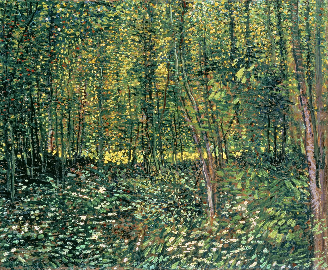 Ağaçlar ve Çalılıklar, 1887 by Vincent van Gogh