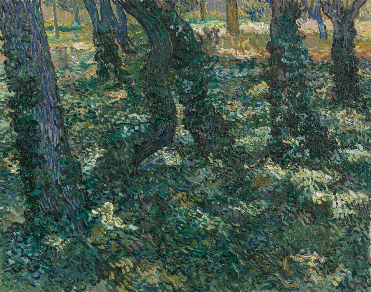 çalı by Vincent van Gogh