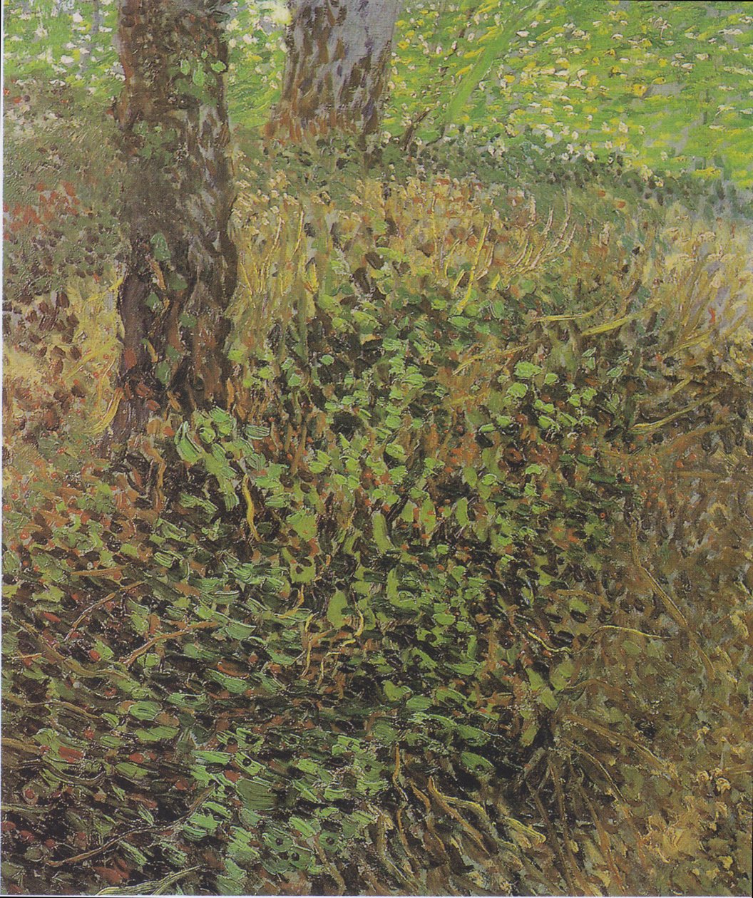 çalı by Vincent van Gogh