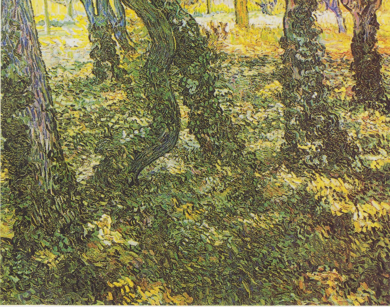 sarmaşık ile çalı by Vincent van Gogh