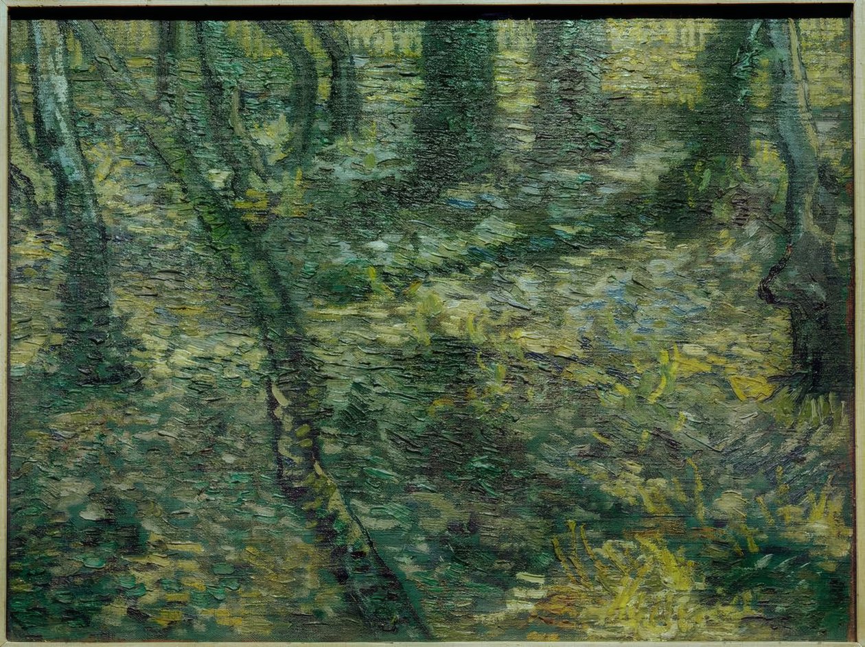 sarmaşık ile çalı by Vincent van Gogh