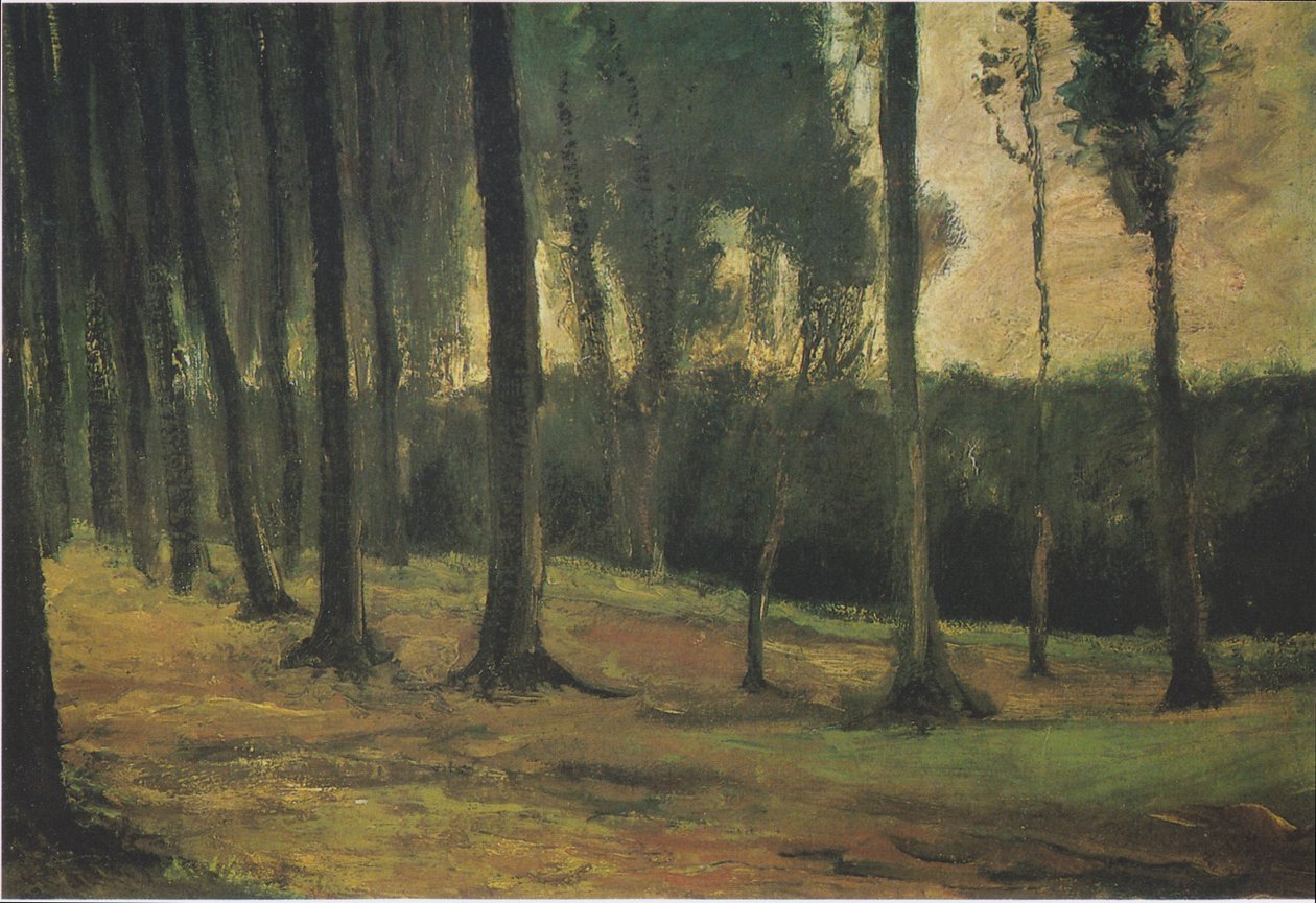 Ormanın kenarı by Vincent van Gogh