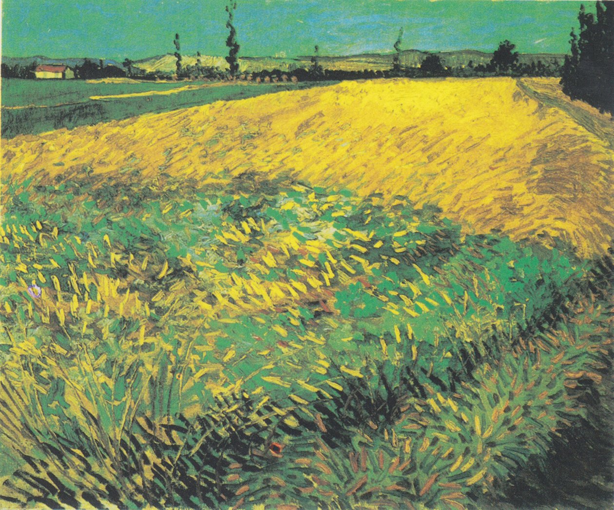 Arka planda Alpilles tepeleri olan buğday tarlası by Vincent van Gogh