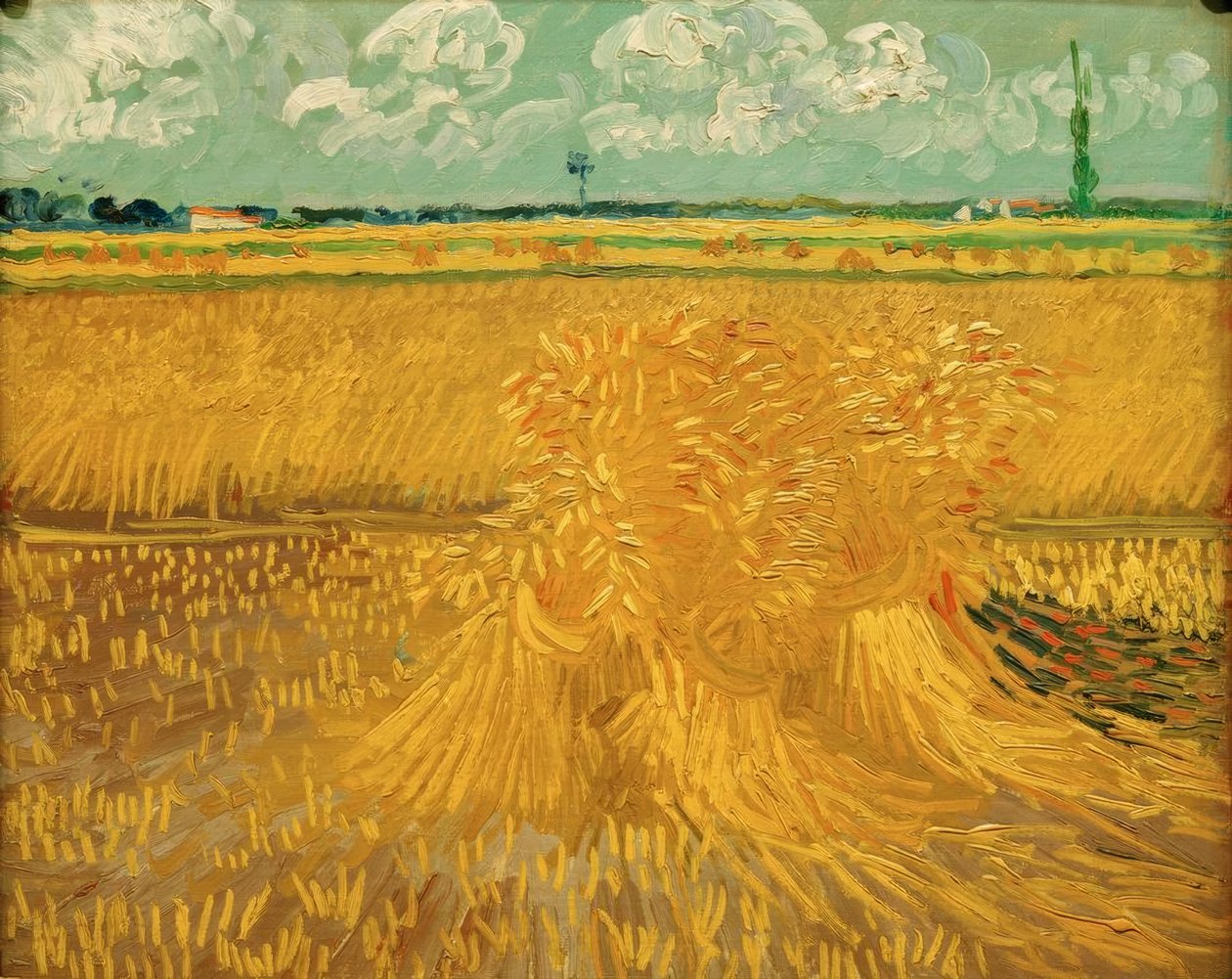 Tahıl demetleri ile buğday alanı by Vincent van Gogh