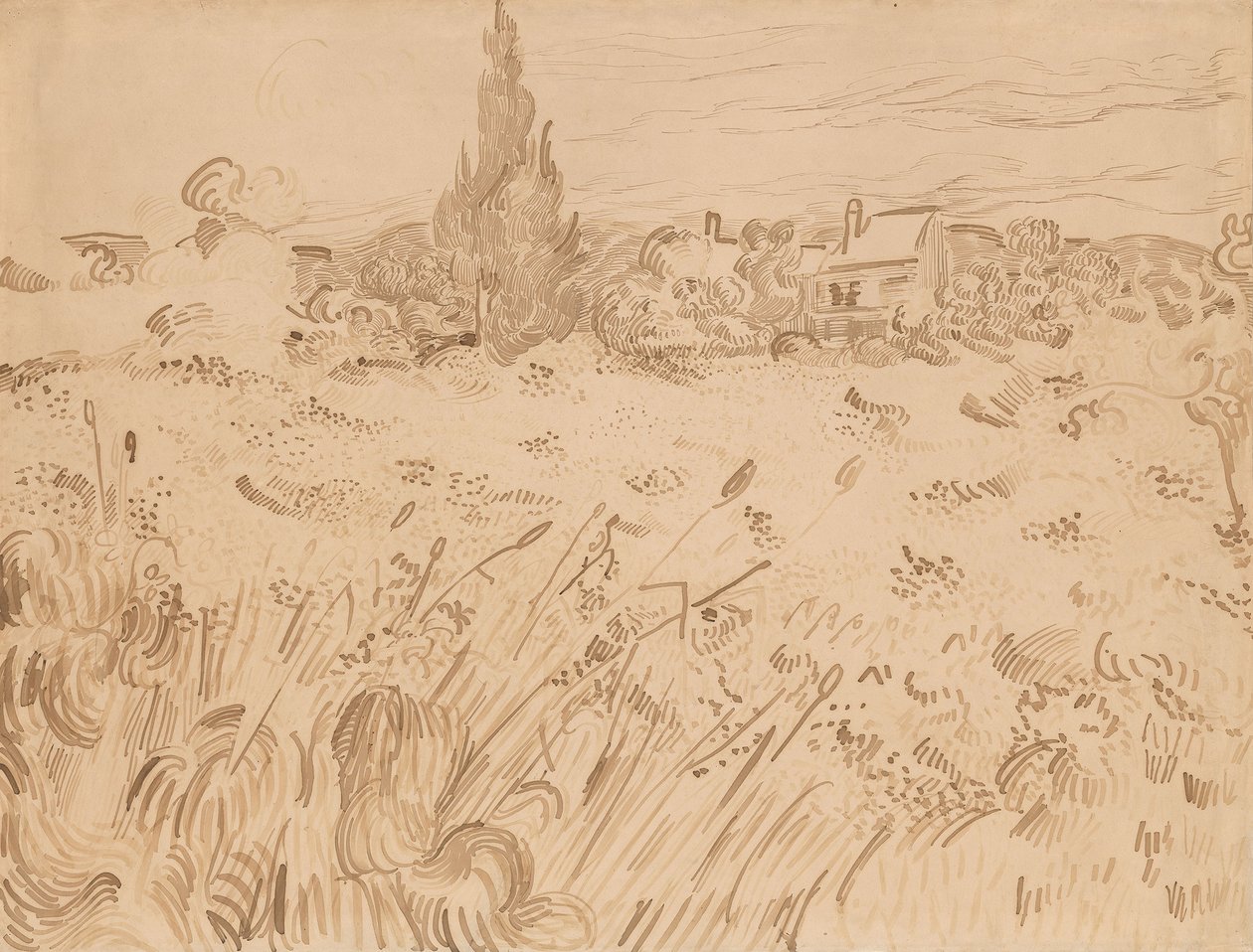 Buğday Tarlası, Saint-Rémy de Provence by Vincent van Gogh