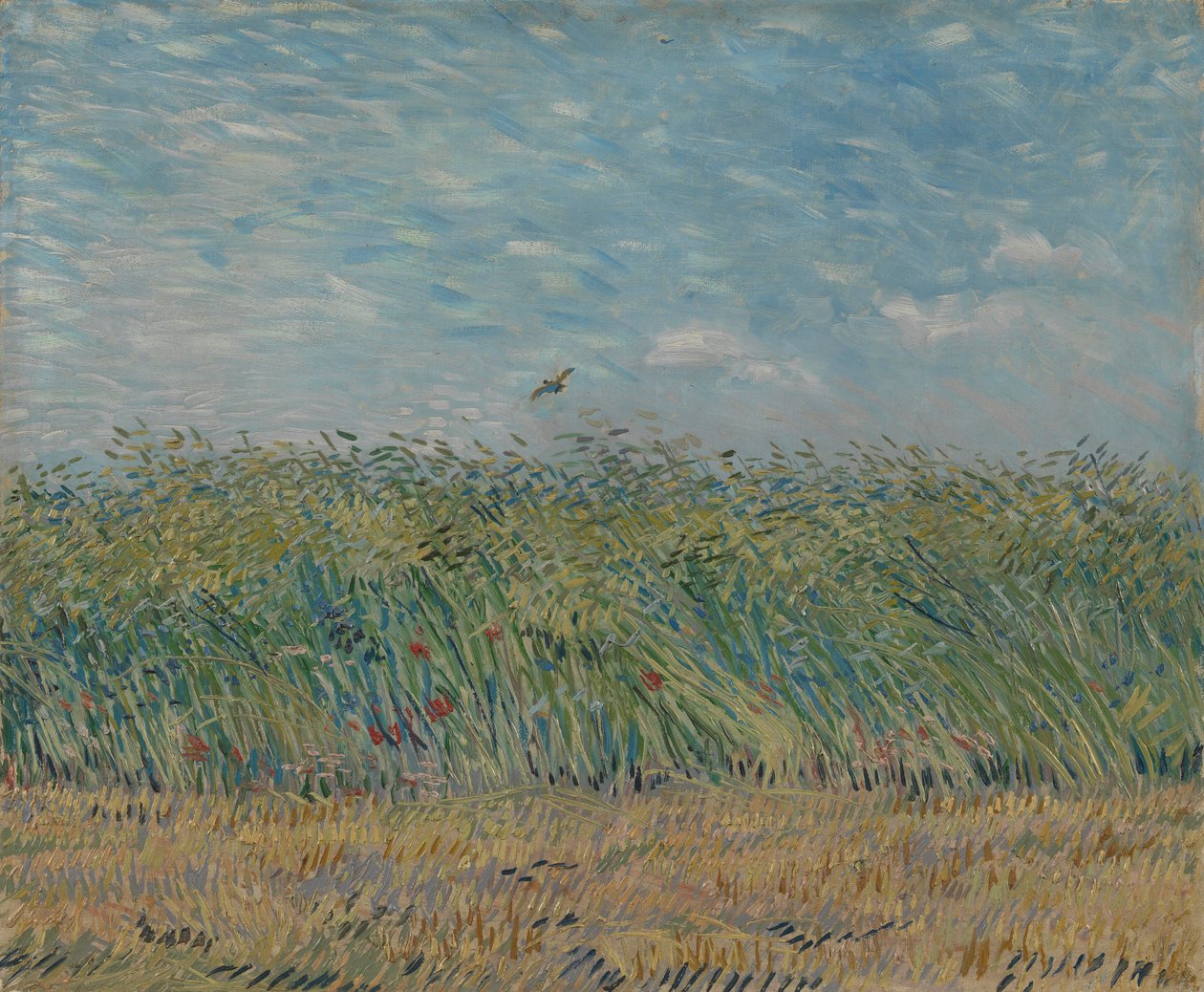 Keklikli Buğday Tarlası, 1887 by Vincent van Gogh