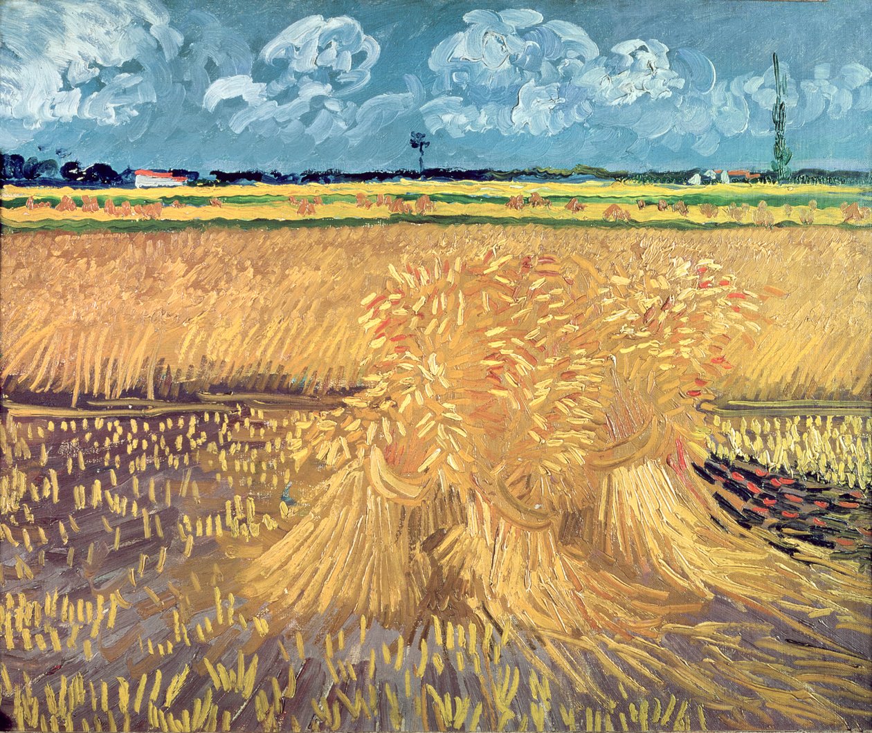 Demetli Buğday Tarlası, 1888 by Vincent van Gogh