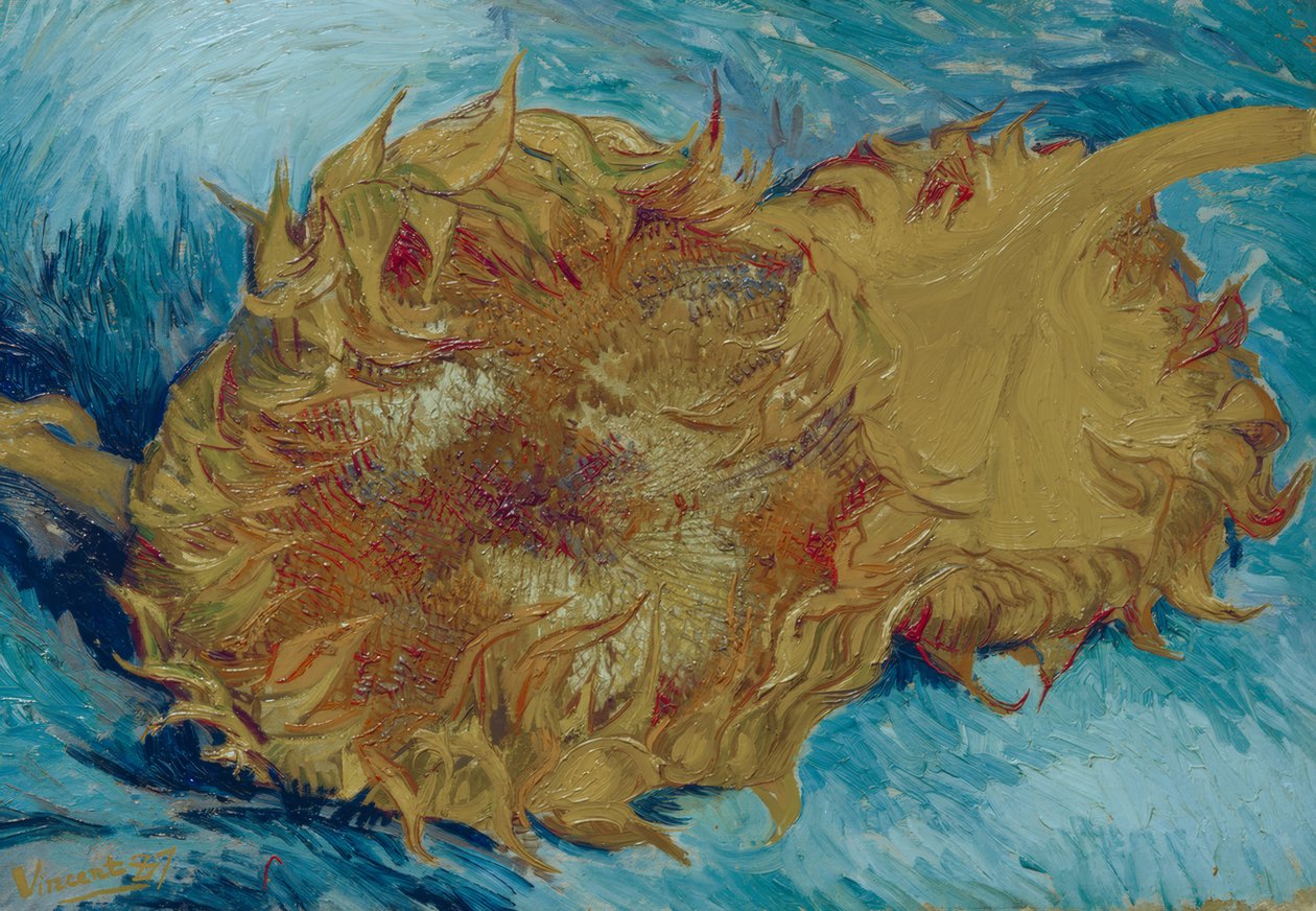 İki kesilmiş ayçiçeği by Vincent van Gogh