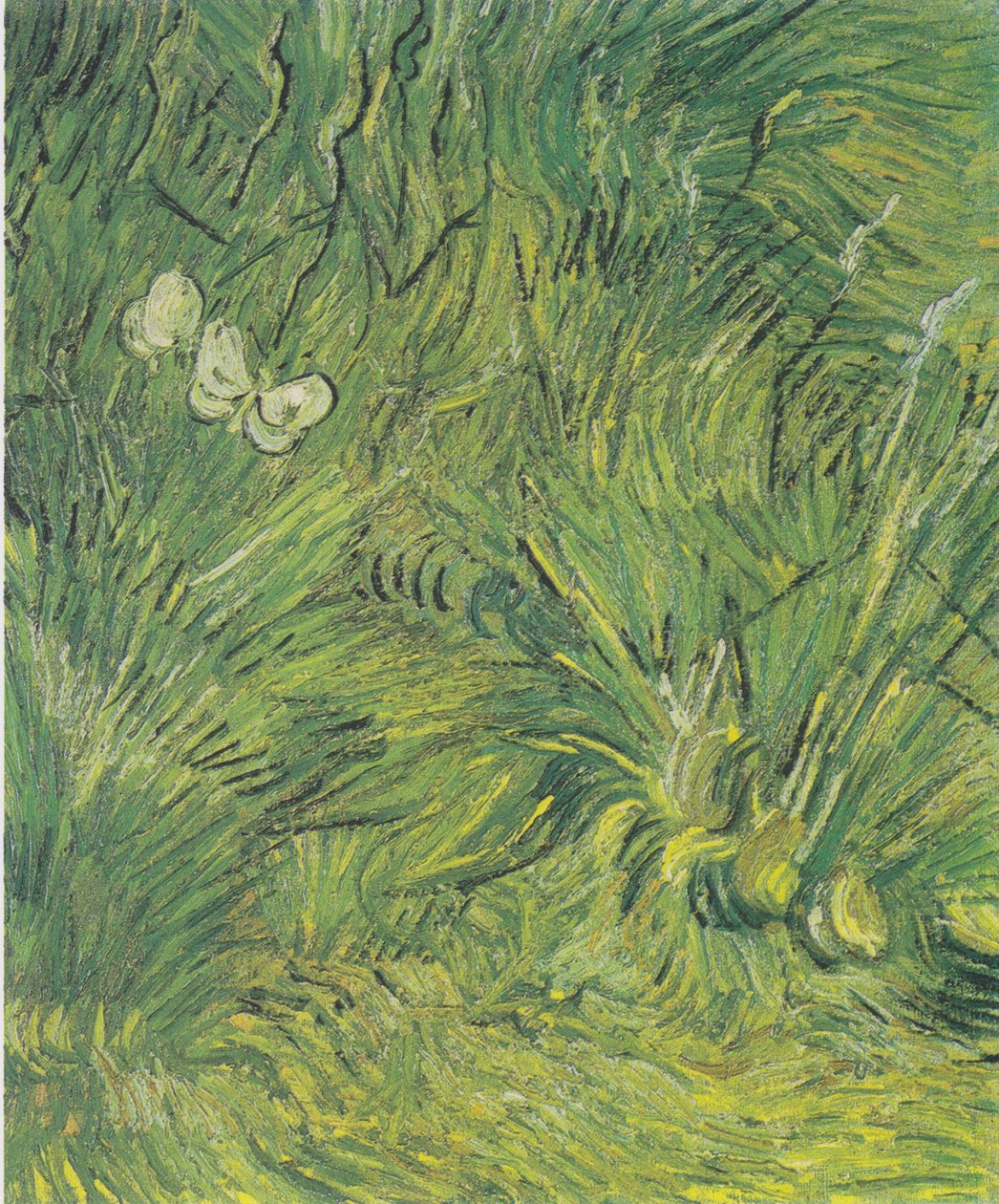 iki beyaz kelebek by Vincent van Gogh