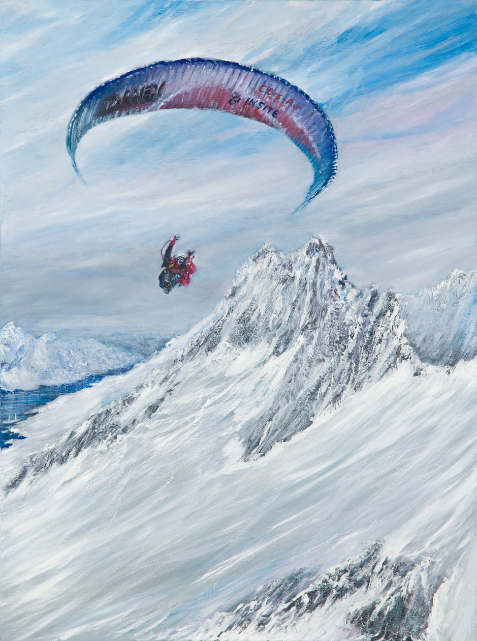 Antarktika Pilotu, 2015, by Vincent Alexander Booth