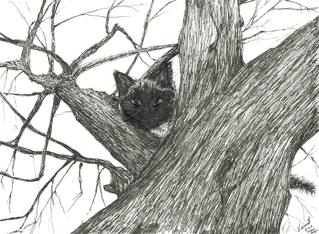 Elma ağacı Bebek, 2015, (kağıt üzerine mürekkep) by Vincent Alexander Booth