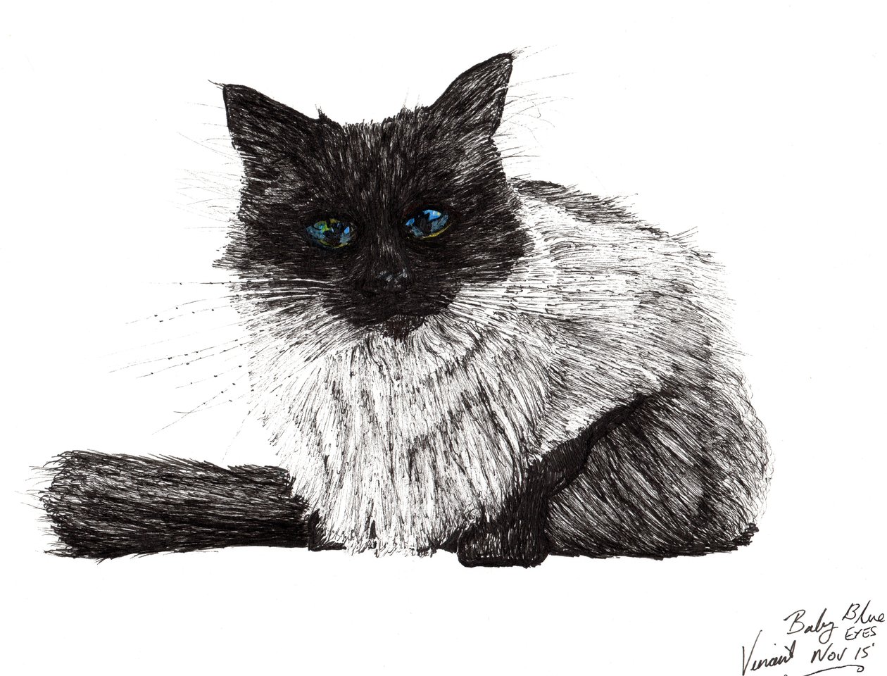 Bebek mavisi gözler, 2015, (kağıt üzerine mürekkep) by Vincent Alexander Booth