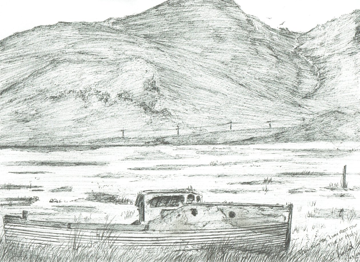 Karada tekne, Mull Adası, 2007 by Vincent Alexander Booth
