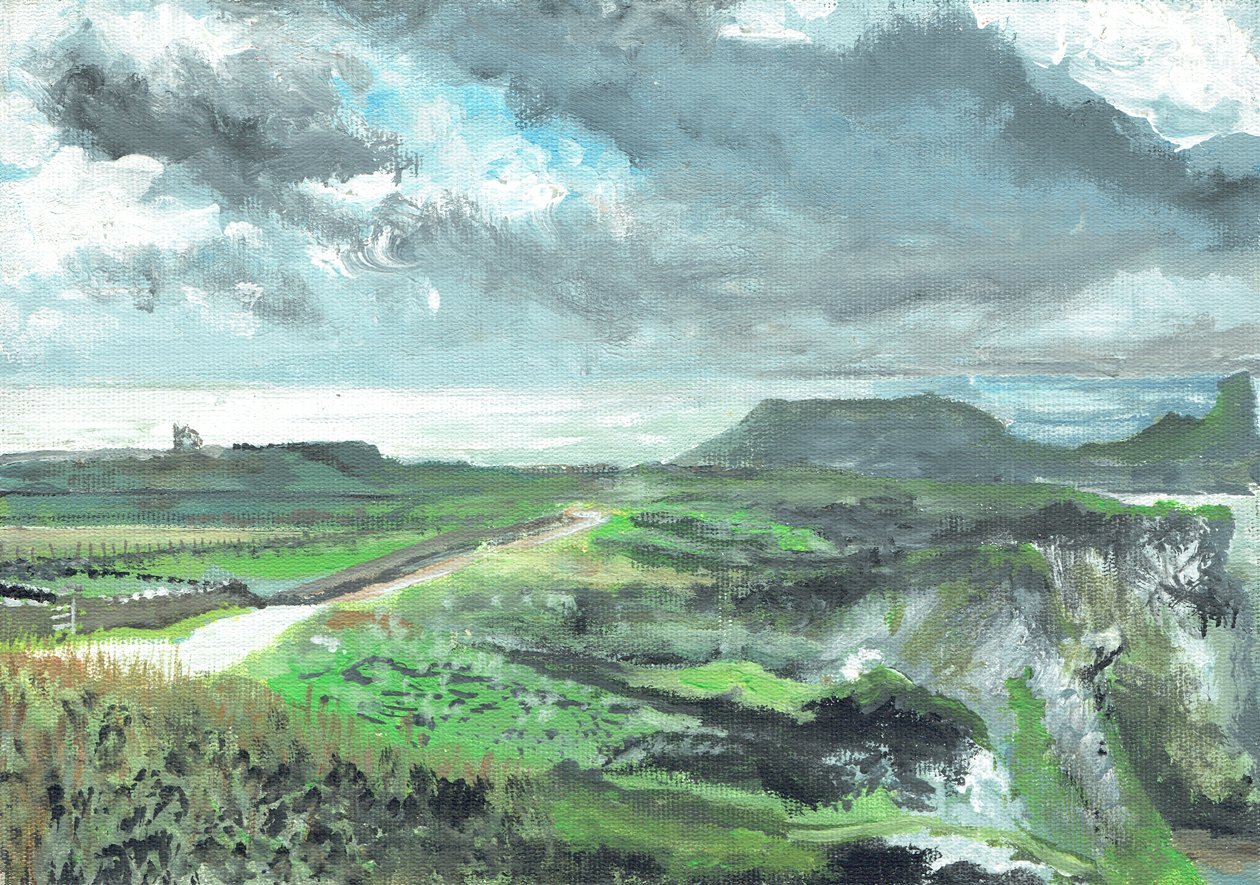 Gower Point, 1991, (tuval üzerine akrilik) by Vincent Alexander Booth