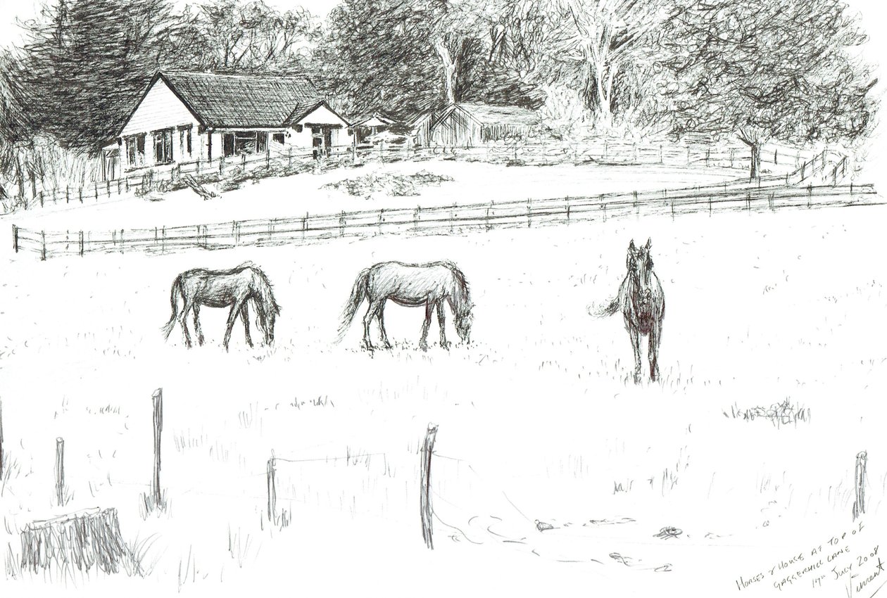 Yolun tepesindeki atlar, 2008 (kağıt üzerine mürekkep) by Vincent Alexander Booth